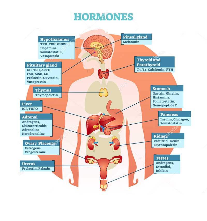 los angeles anti-aging clinics and bioidentical hormones