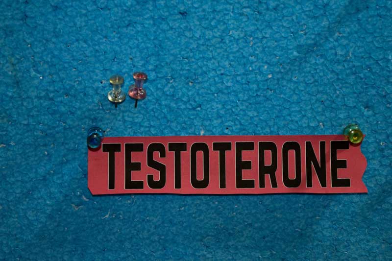 testosterone los angeles