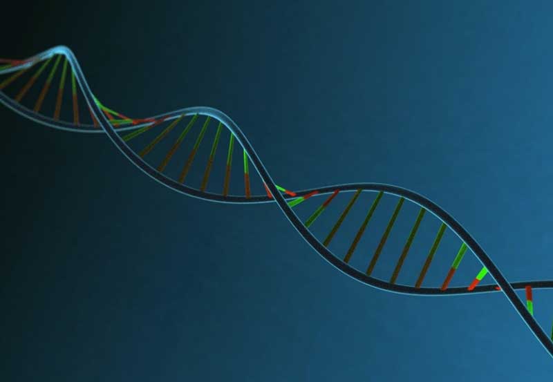 Los Angeles Genomic Testing