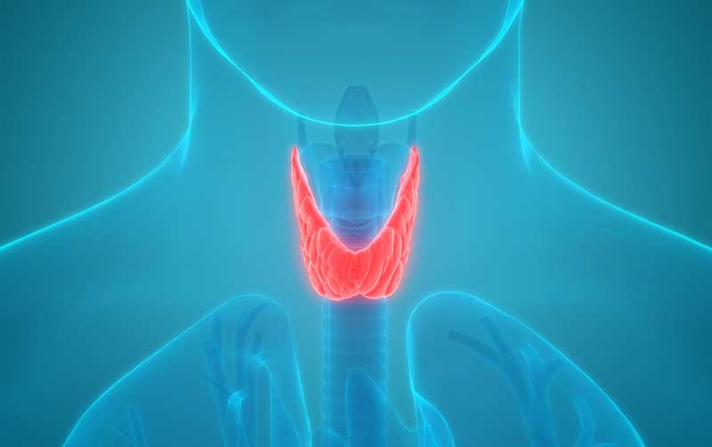 Thyroid Cancer Los Angeles