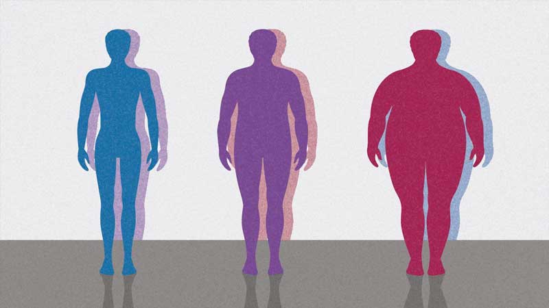 the connection between bmi numbers and obesity levels los angeles