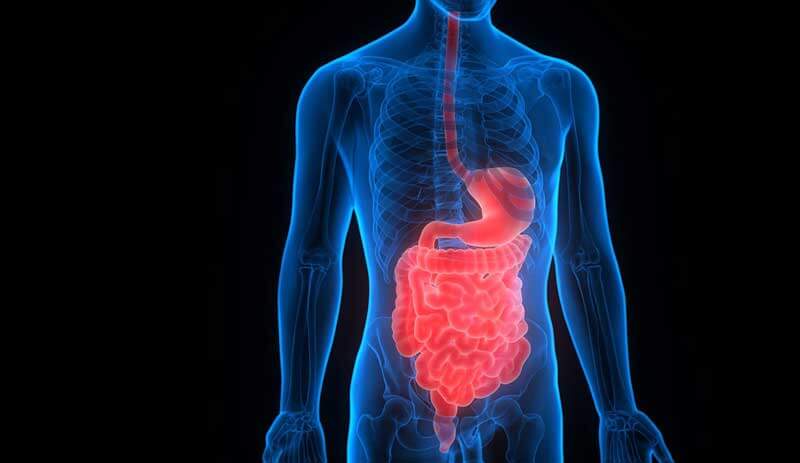 Los Angeles Inflammatory Bowel Disease