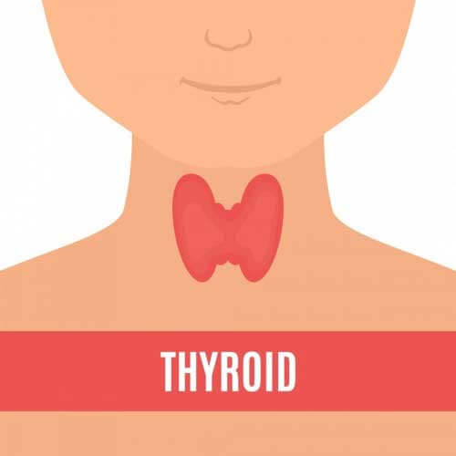 thyroid treatment torrance, ca