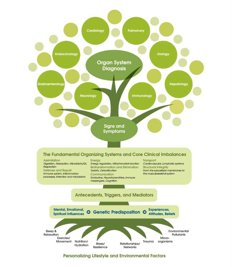 functional medicine los angeles tree