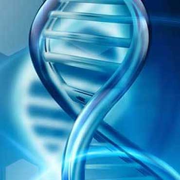 precision medicine los angeles | Genomic Testing